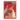 7e11e95c9580bb210cd0b105e8c5a03e72041fa1_16731_AW57282_DP_PKM_Mega_Charizard_Y_65ct_Single